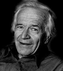 If Schools Didn't Exist