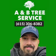 Businesses in Maryville, TN