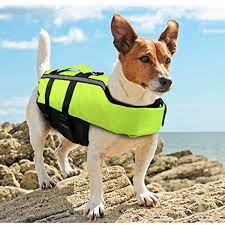 Namsan Dog Life Jacket Folding Dog Life Vest Portable Airbag Dog Swimming Jacket Vest Green Medium You Can Find Dog Life Vest Dog Life Training Your Dog
