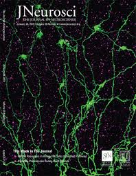 Although this game is playable on ps5, some features available on ps4 may be absent. Extrasynaptic Nmda Receptors On Rod Pathway Amacrine Cells Molecular Composition Activation And Signaling Journal Of Neuroscience