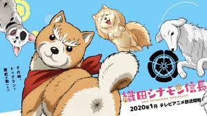 12:00 am january 1, 2020. Oda Cinnamon Nobunaga S Canine Star Will Perform Show S Ending Theme Anime Oda Cinnamon