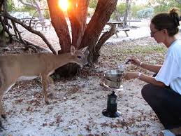 How to camp in turtle beach, sarasota, florida. Florida Keys Camping Florida Keys