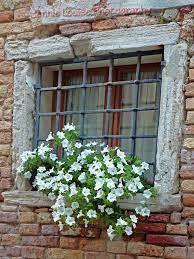 See more ideas about window boxes, window box, window box flowers. Italian Window Box Window Box Windows Window Flowers