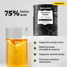 Shilajit Honey Sticks
