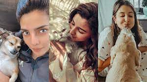 Happy national pet day to all of our wonderful pets across the world. Ouu909smlp3lqm