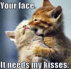 Over 40 Funny I Love You Memes Thrifty Nifty Mommy