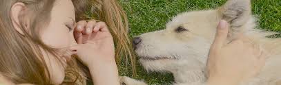 We did not find results for: Furry Friends Animal Shelter Adopt A Pet Land Rover Palm Beach