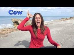 Bird In Sign Language Baby This Video Reviews The American Sign Language Asl For Animals Bird Fish Cat Dog Horse F Sign Language Songs Sign Language For Kids Baby Sign Language