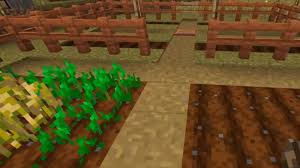How Long Does It Take For Wheat To Grow In Minecraft Fiction Horizon