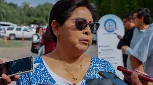 PAN seguirá gobernando en San Juan: Leonor Mejía