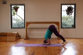 With fresh air, clear skies and lush grass, summertime is the perfect time to give outdoor yoga a go! Lois Steinberg