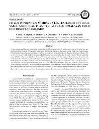 Image result for Lycium pilifolium