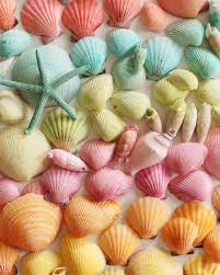 4.3 out of 5 stars 123. Best Crafts To Make Using Seashell Martha Stewart