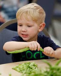 The Annual Viste Bean Snap