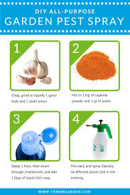The Ultimate Guide To Garden Pest Control
