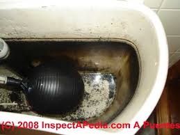In all likelihood it is iron in the water. Sulphur Odors In Water Identify Cure Sulphur Smells Or Odors In Drinking Water