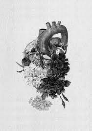 We did not find results for: Creative Tumblr Heart White Black And Organs Image Ideas Inspiration On Designspiration