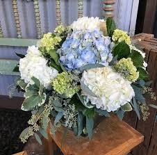Image result for Hydrangea