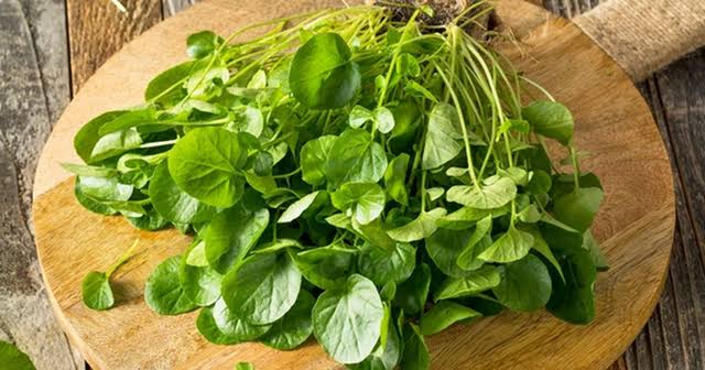 Việt Nam sở hữu loại rau "chống ung thư tốt nhất thế giới", tốt cho sức