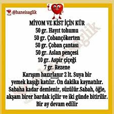 Pin By Ozdenozcan On Saglik Olsun In 2020 Health