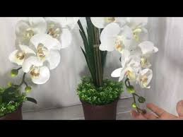 Gubahan orkid phalaenopsis (3 tangkai) | macam mana. Cara Gubah Bunga Desainrumahid Com