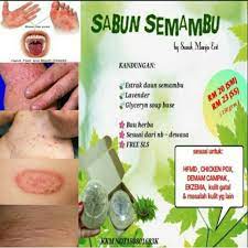 Scratching chicken pox blister leaves a scar behind. Ubat Chickenpox Sabun Semambu Dan Losyen Herba Shopee Malaysia