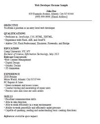 To make your job of writing a web developer resume easier, our experts at hiration have written this article in which they have described their process of making a web development resume in great detail. Entry Level Web Developer Resume The Resume Template Site