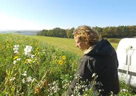 Vas vers toi, vers la terre !! Bienvenue Les Vers De Terre Stuck