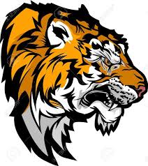 Tiger Head Mascot 2 Bw Vector Art Getty Images Tiger Illustration Colorful Animal Paintings Tiger Art