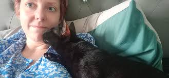 Kittens and cats need CATSITTING Berlin 🐾