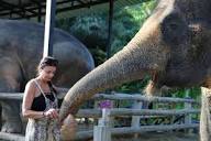 Elephant Jungle Sanctuary Phuket - 2 1 2024 Half Day Morning ...