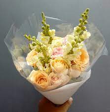 Bagi pecinta bunga, sepertinya akan tertarik jika diajak ke rawa belong yang terletak di jl. Pasar Bunga Rawa Belong Part 2 Kuyyyy