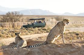 See also best black jokes about black people see my top ten must see safari animals list. 10 Best Bucket List Safaris In Africa