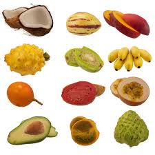 South American Fruits Brasil