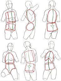 The activities in this manual encourage students to engage with new vocabulary in many ways, including grouping key terms, matching terms to structures, recalling definitions, and written exercises. Shapes Of Anatomy In 2021 Human Anatomy Art Human Body Drawing Human Anatomy Drawing