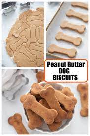 Peanut Butter Dog Biscuits Recipe In 2021 Dog Treats Homemade Recipes Dog Cookie Recipes Dog Biscuit Recipes