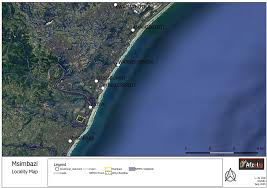 Image result for Dichilus reflexus