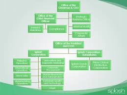 Organizational Chart Splash