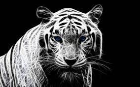 3d White Tiger Wallpaper 2021 Live Wallpaper Hd Tiger Wallpaper Tiger Images Tiger Pictures