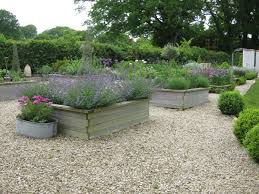 Raised Beds With Awesome Perennials In Gravel Garden Healthy Garden Gravel Garden Garden