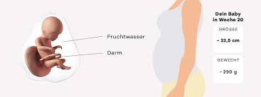 20. SSW (Schwangerschaftswoche) » Mutter, Bauch & Baby in 20. SSW