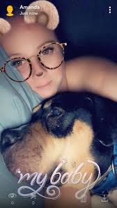 Adopting a 3-year-old female bully in Jax, FL