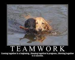 Budget jederzeit nutzen und eventgutschein flexibel zu einem späteren zeitpunkt einlösen. Motivational Quotes For Work Success Funny It S Always About Teamwork Work Quotes Funny Teamwork Quotes Dogtrainingobedienceschool Com
