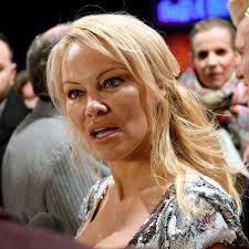 She is best known for her numerous appearances in playboy magazine and. Pamela Anderson Wutend Uber Spenden Fur Notre Dame Der Spiegel