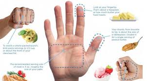 A Handy Portion Guide Dietitian Uk Dietitian Uk Food Portions Paleo Shopping List Portion Control