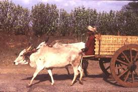 Image result for OLD MODERN TRANPORTATION MEANS