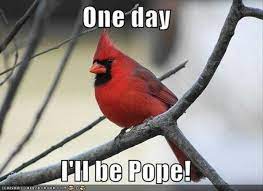 A Cardinal With Aspirations Catholic Humor Catholic Memes Catholic Jokes