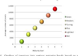 a cost effective tomato maturity grading system using image