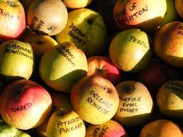 Our customers are looking for a diverse range of fruit trees, both heritage and new to plant in their orchards. Fruit Heritage People S Trust For Endangered Species