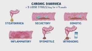 Image result for Chronic Diarrhea